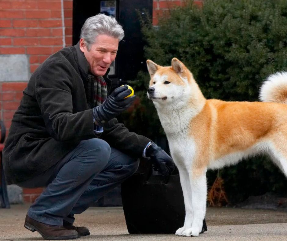 Películas para llorar - Hachiko